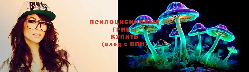 shop официальный сайт  купить  сайты  Армянск  Псилоцибиновые грибы Magic Shrooms 